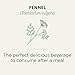 Traditional Medicinals - Organic Fennel (16bg)