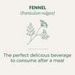 Traditional Medicinals - Organic Fennel (16bg)