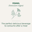 Traditional Medicinals - Organic Fennel (16bg)