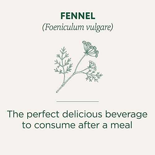 Traditional Medicinals - Organic Fennel (16bg)