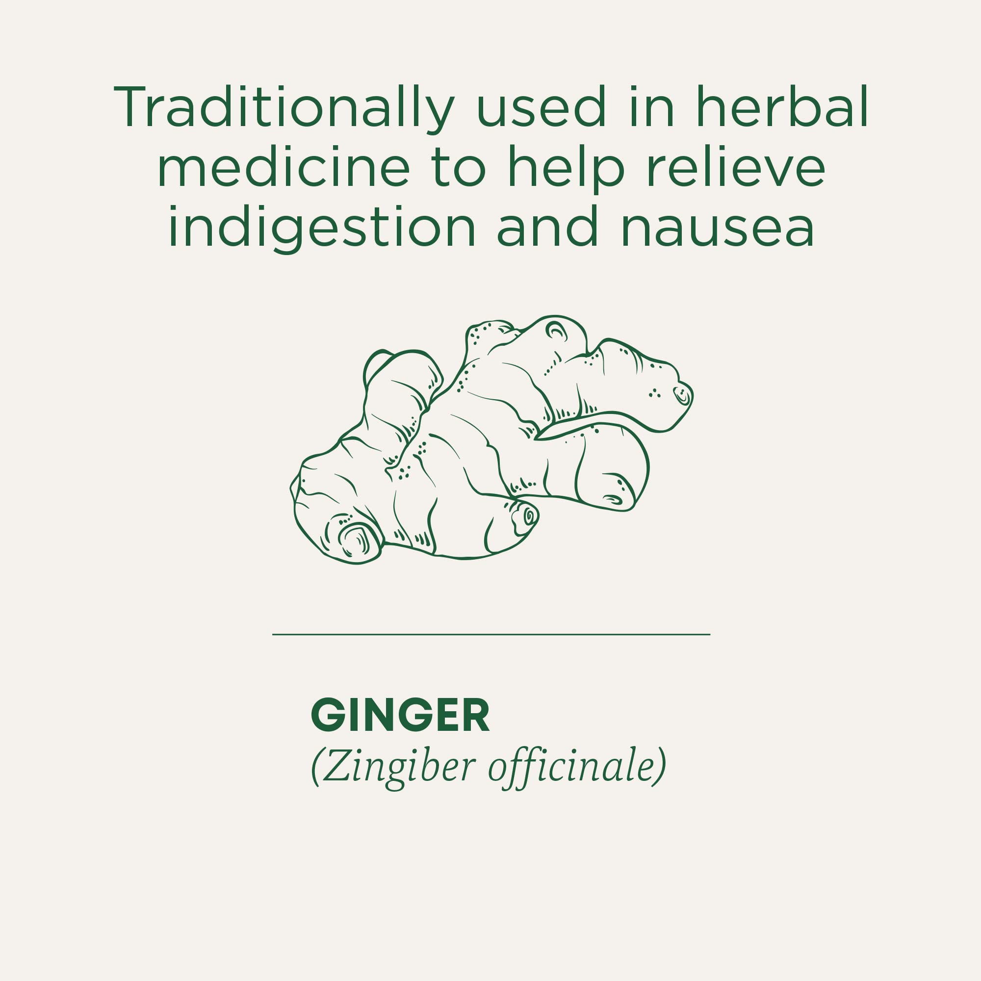 Traditional Medicinals - Organic Ginger Aid (16bg)