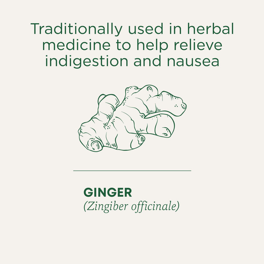 Traditional Medicinals - Organic Ginger Aid (16bg)
