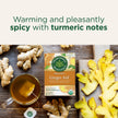 Traditional Medicinals - Organic Ginger Aid (16bg)