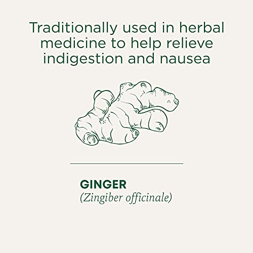 Traditional Medicinals - Organic Ginger Aid (16bg)