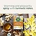 Traditional Medicinals - Organic Ginger Aid (16bg)