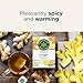 Traditional Medicinals - Organic Ginger (16bg)