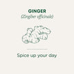 Traditional Medicinals - Organic Ginger (16bg)