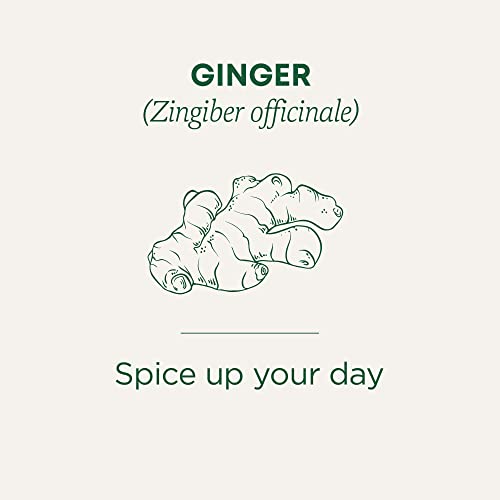 Traditional Medicinals - Organic Ginger (16bg)