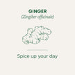 Traditional Medicinals - Organic Ginger (16bg)