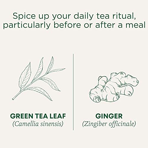 Traditional Medicinals - Organic Green Tea Ginger (16bg)