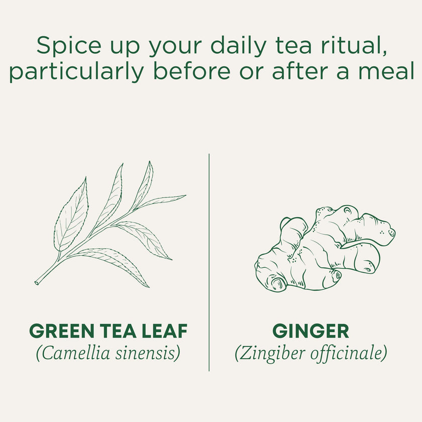 Traditional Medicinals - Organic Green Tea Ginger (16bg)