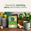 Traditional Medicinals - Organic Green Tea Ginger (16bg)