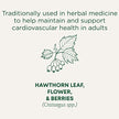 Traditional Medicinals - Organic Hawthorn With Hibiscus (16bg)