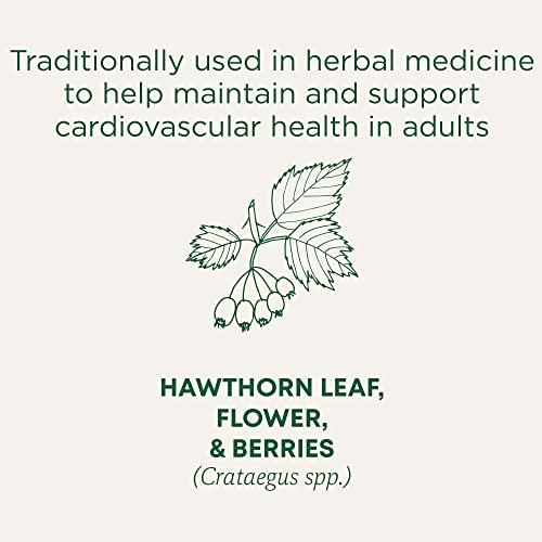 Traditional Medicinals - Organic Hawthorn With Hibiscus (16bg)