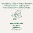 Traditional Medicinals - Organic Hawthorn With Hibiscus (16bg)