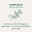 Traditional Medicinals - Organic Lemon Balm (16bg)