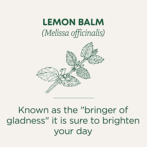 Traditional Medicinals - Organic Lemon Balm (16bg)