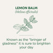 Traditional Medicinals - Organic Lemon Balm (16bg)