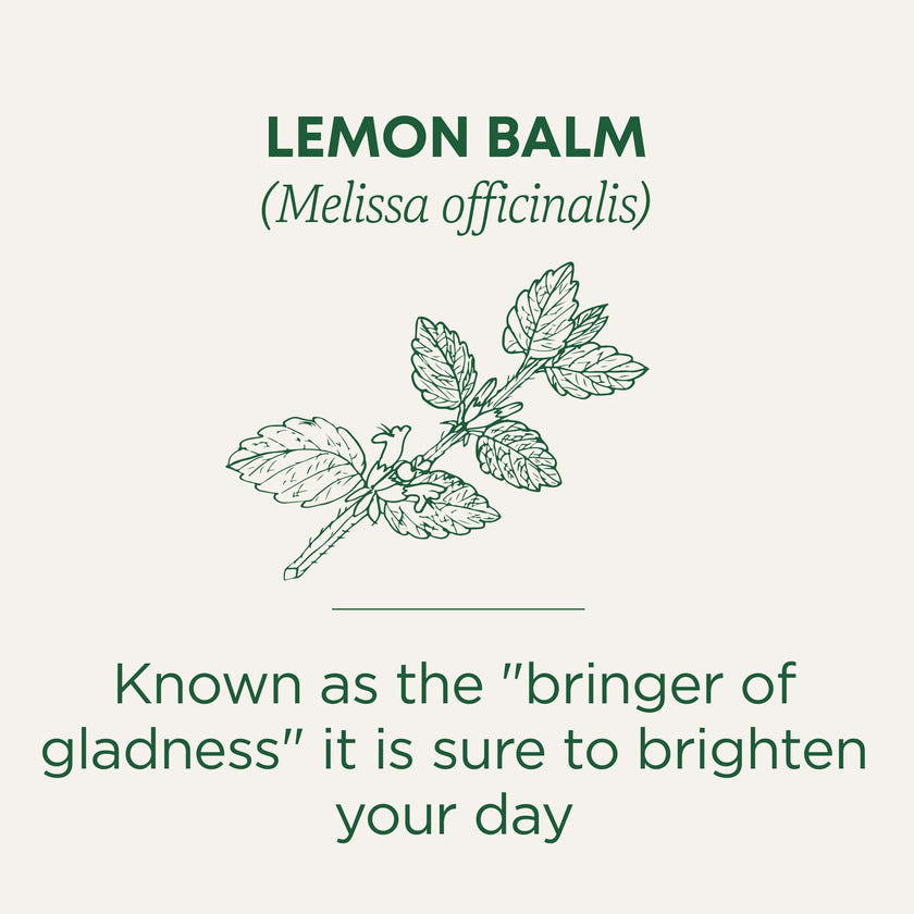 Traditional Medicinals - Organic Lemon Balm (16bg)