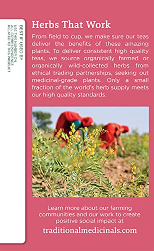 Traditional Medicinals - Mothers Milk (16bg)