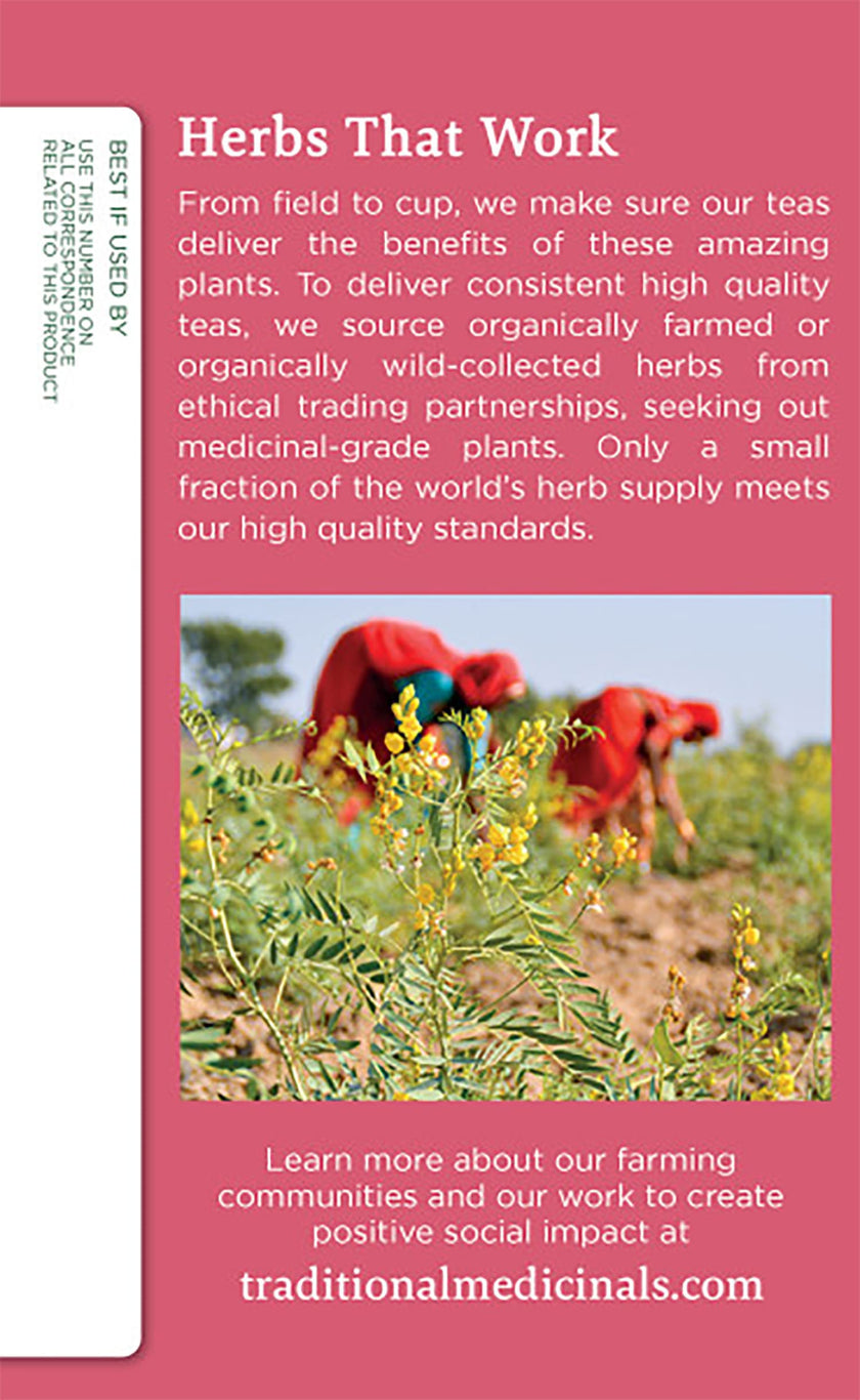Traditional Medicinals - Mothers Milk (16bg)