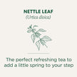 Traditional Medicinals - Organic Nettle Leaf (16bg)