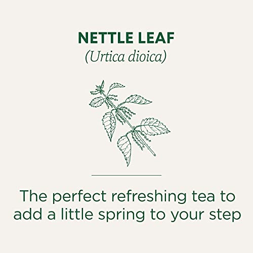 Traditional Medicinals - Organic Nettle Leaf (16bg)