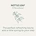 Traditional Medicinals - Organic Nettle Leaf (16bg)