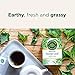 Traditional Medicinals - Organic Nettle Leaf (16bg)