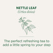 Traditional Medicinals - Organic Nettle Leaf (16bg)