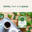 Traditional Medicinals - Organic Nettle Leaf (16bg)