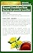 Traditional Medicinals - Organic Roasted Dandelion Root (16bg)