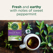 Traditional Medicinals - Organic Smooth Move Peppermint (16bg)