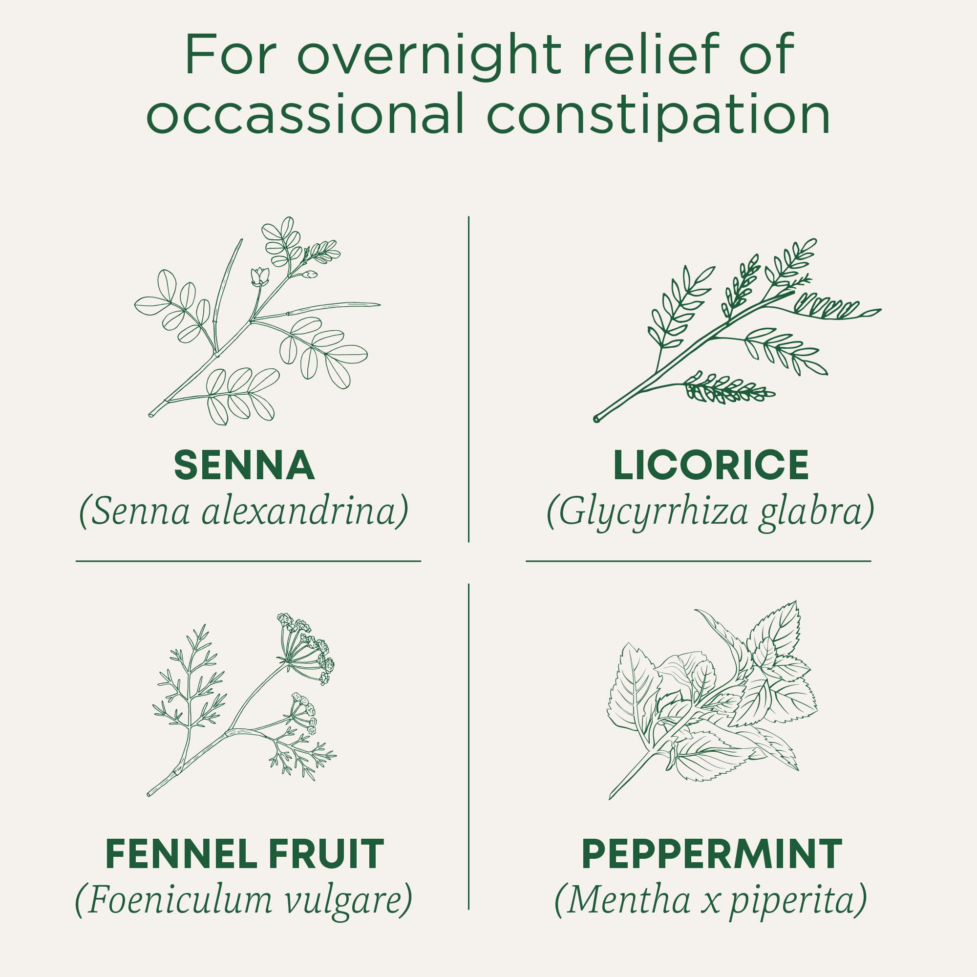 Traditional Medicinals - Organic Smooth Move Peppermint (16bg)