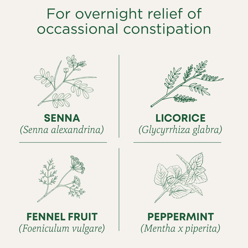 Traditional Medicinals - Organic Smooth Move Peppermint (16bg)