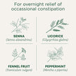 Traditional Medicinals - Organic Smooth Move Peppermint (16bg)