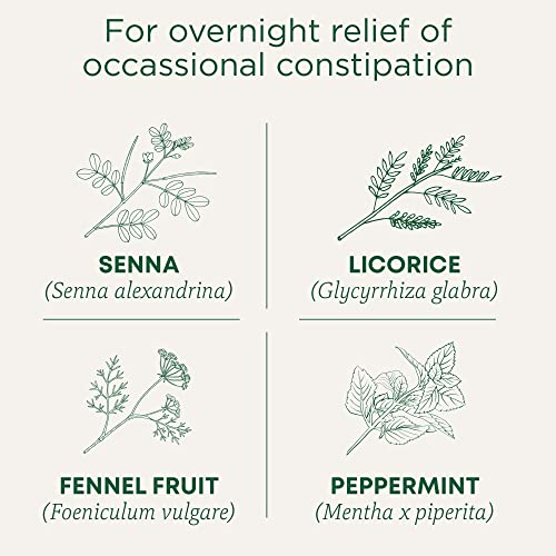 Traditional Medicinals - Organic Smooth Move Peppermint (16bg)