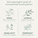 Traditional Medicinals - Organic Smooth Move Peppermint (16bg)