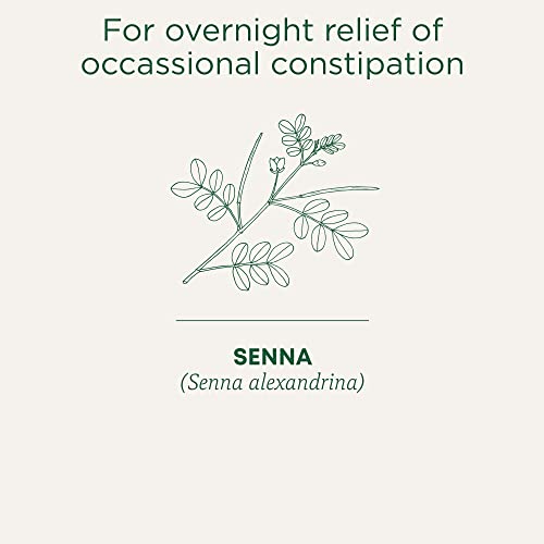 Traditional Medicinals - Organic Smooth Move (16bg)