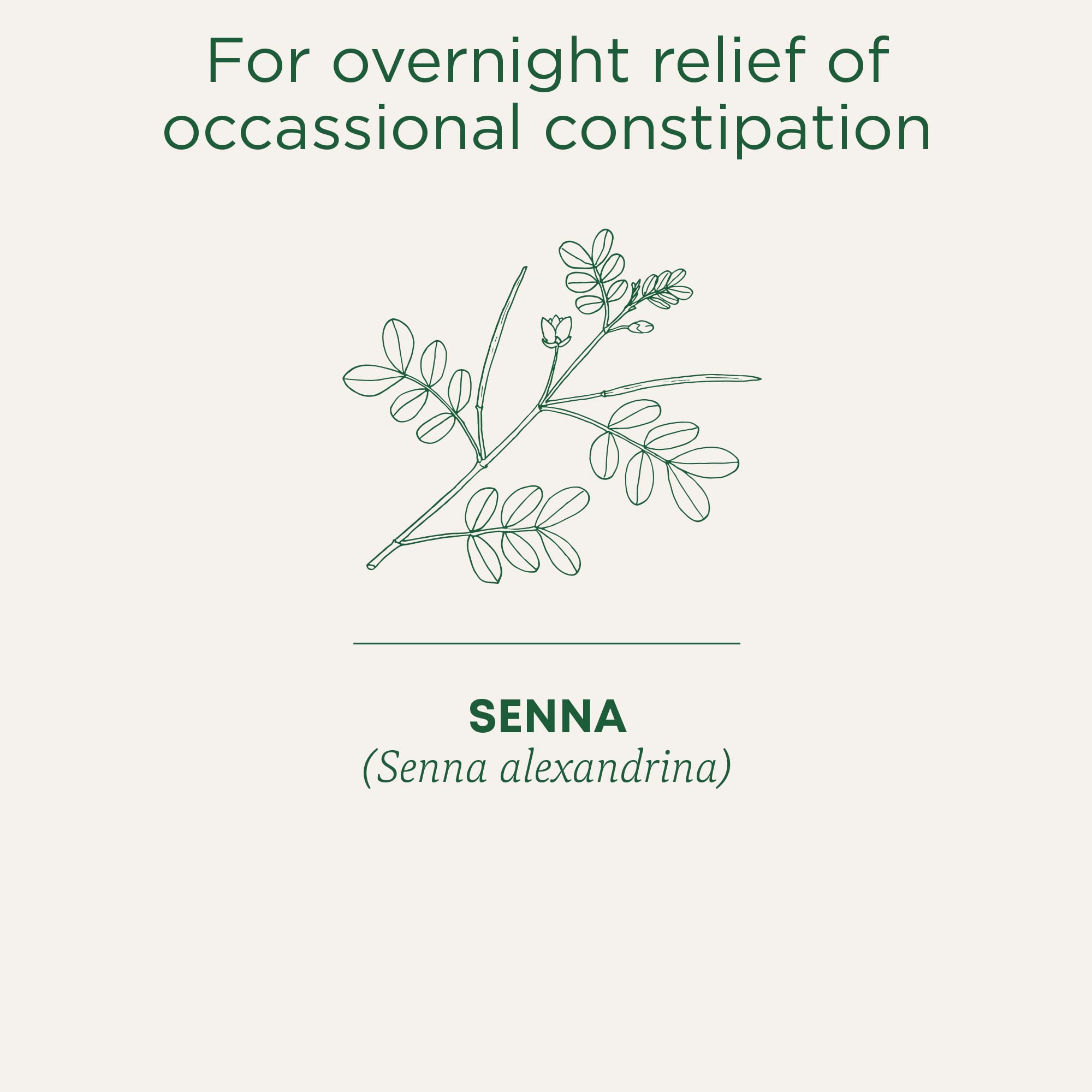 Traditional Medicinals - Organic Smooth Move (16bg)