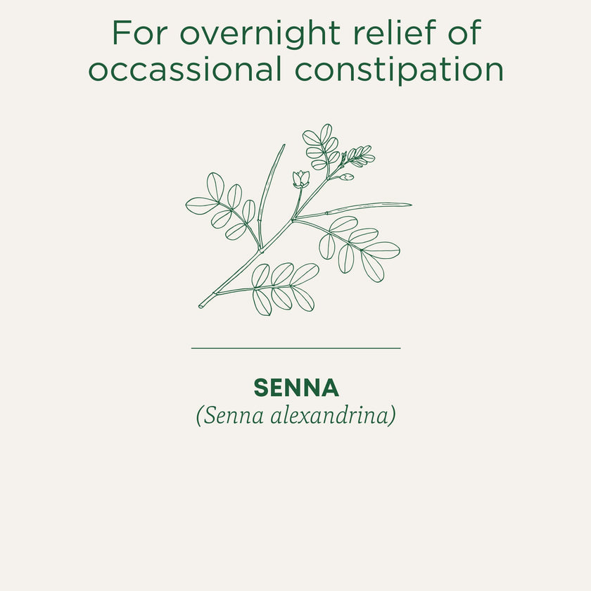 Traditional Medicinals - Organic Smooth Move (16bg)