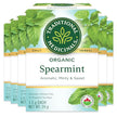Traditional Medicinals - Organic Spearmint (16bg)