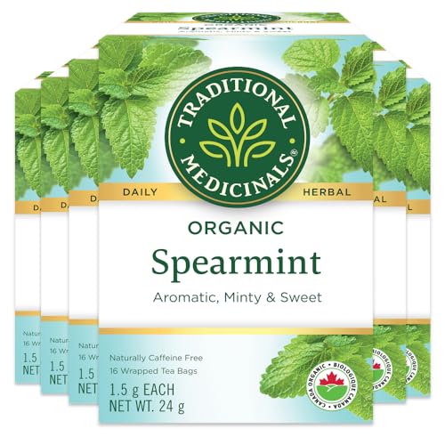 Traditional Medicinals - Organic Spearmint (16bg)