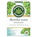 Traditional Medicinals - Organic Spearmint (16bg)