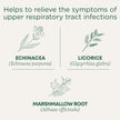 Traditional Medicinals - Throat Coat Lemon Echinacea (16bg)