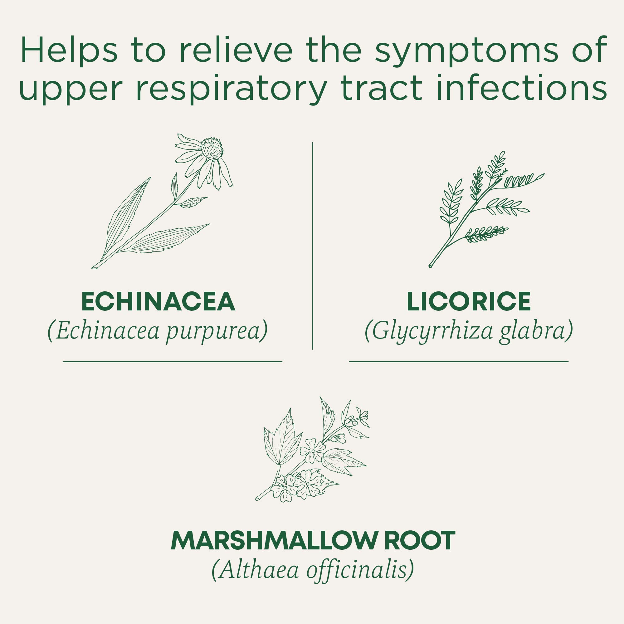 Traditional Medicinals - Throat Coat Lemon Echinacea (16bg)
