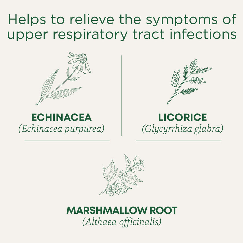 Traditional Medicinals - Throat Coat Lemon Echinacea (16bg)