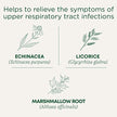 Traditional Medicinals - Throat Coat Lemon Echinacea (16bg)