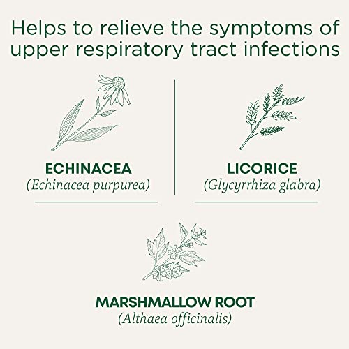 Traditional Medicinals - Throat Coat Lemon Echinacea (16bg)