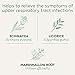 Traditional Medicinals - Throat Coat Lemon Echinacea (16bg)